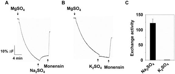 Figure 6.