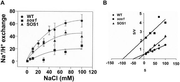 Figure 7.