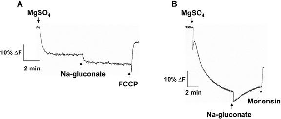 Figure 8.