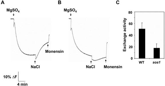 Figure 3.