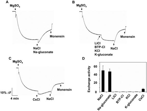 Figure 5.