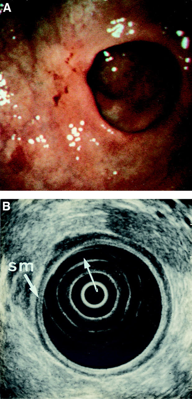 Figure 7  