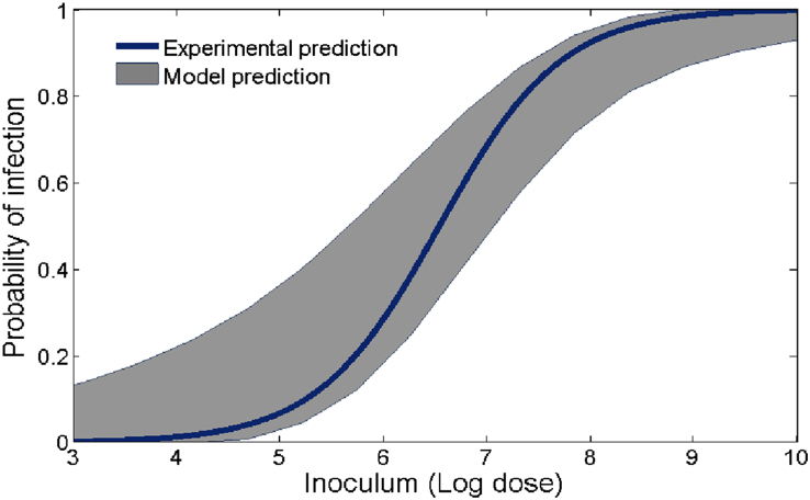 Fig. 11