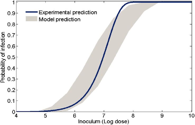 Fig. 12