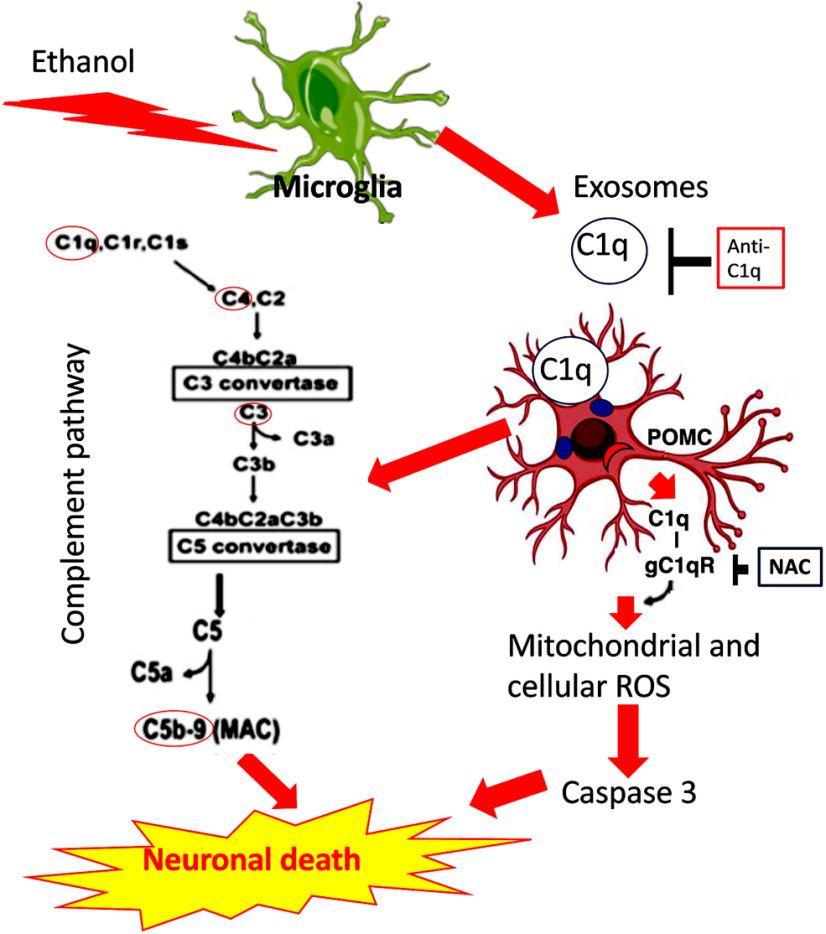 Figure 7.