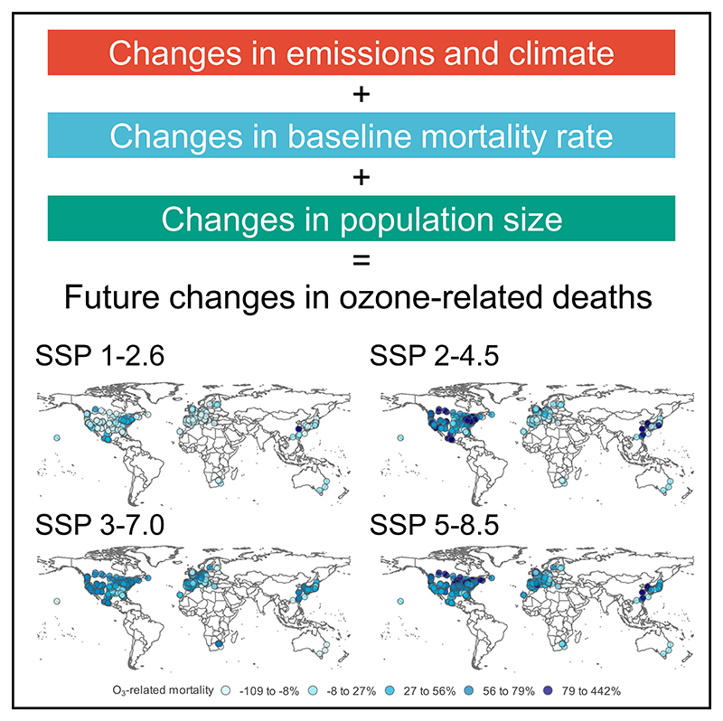 Graphical abstract