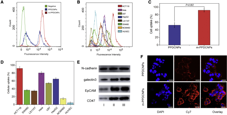 Figure 3