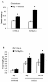 FIG. 3