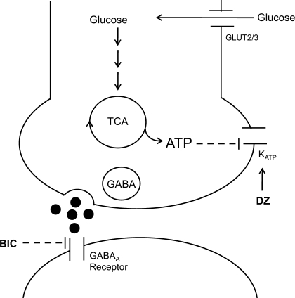 Fig. 1.