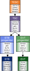 Fig. 4