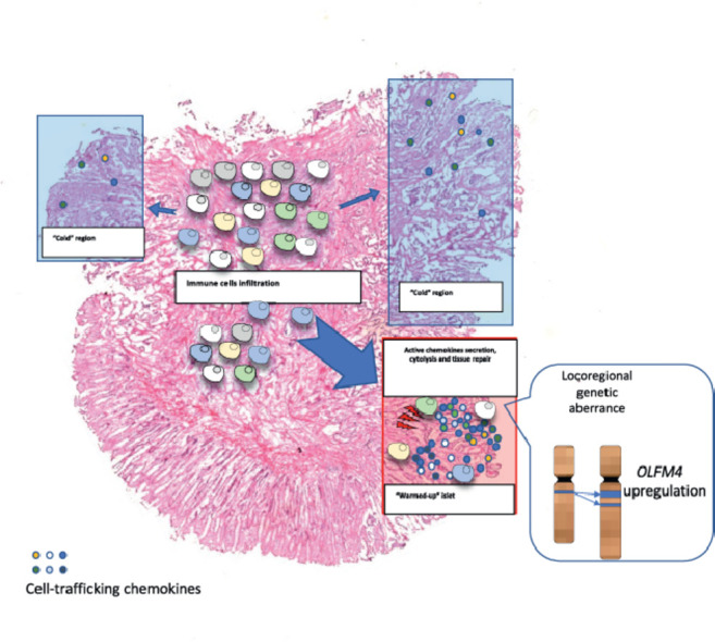 Image, graphical abstract