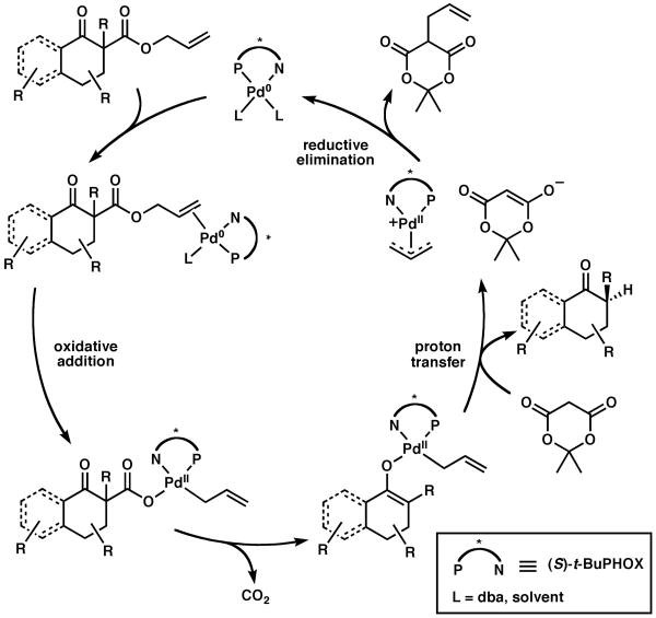 Scheme 2