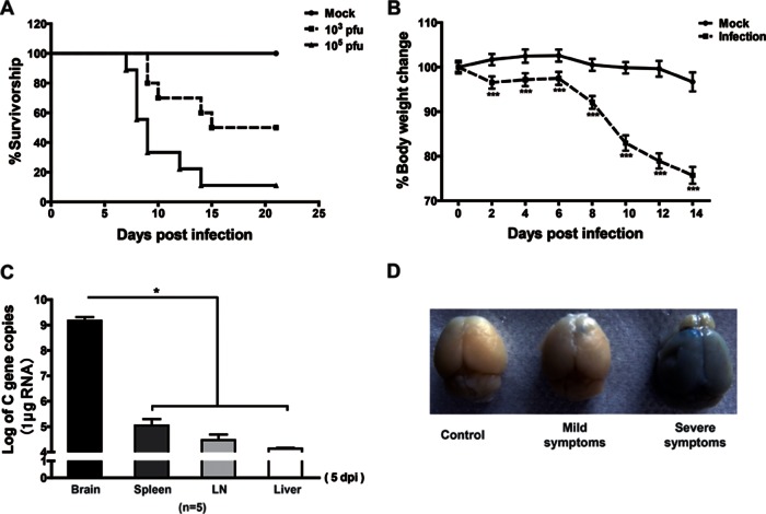 FIG 1