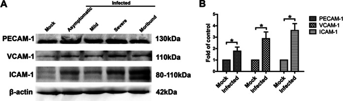 FIG 5