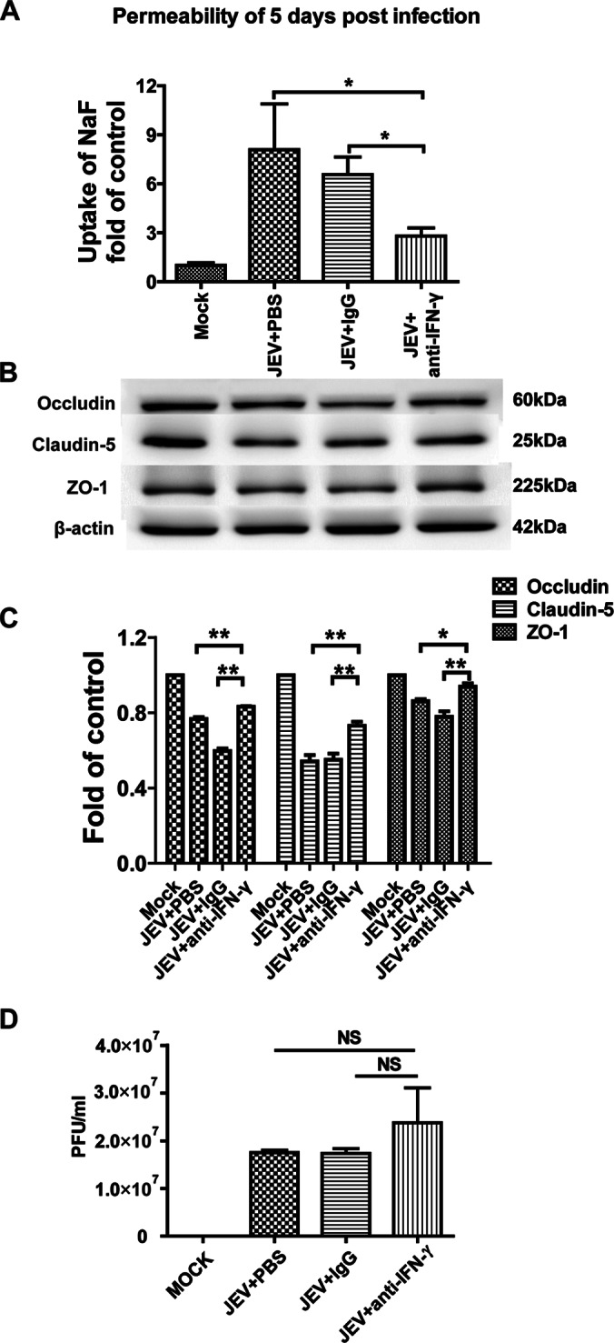 FIG 8