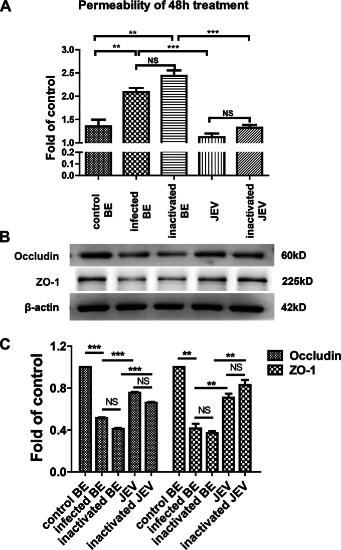 FIG 7