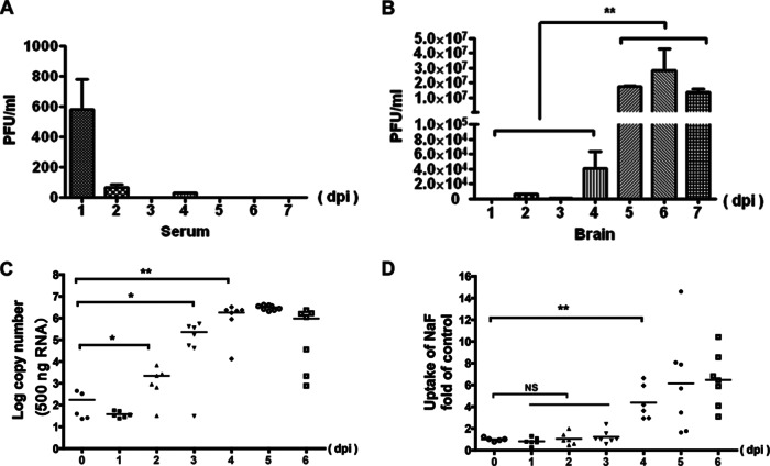 FIG 2