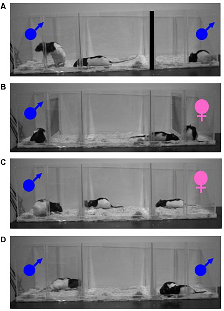 FIGURE 1