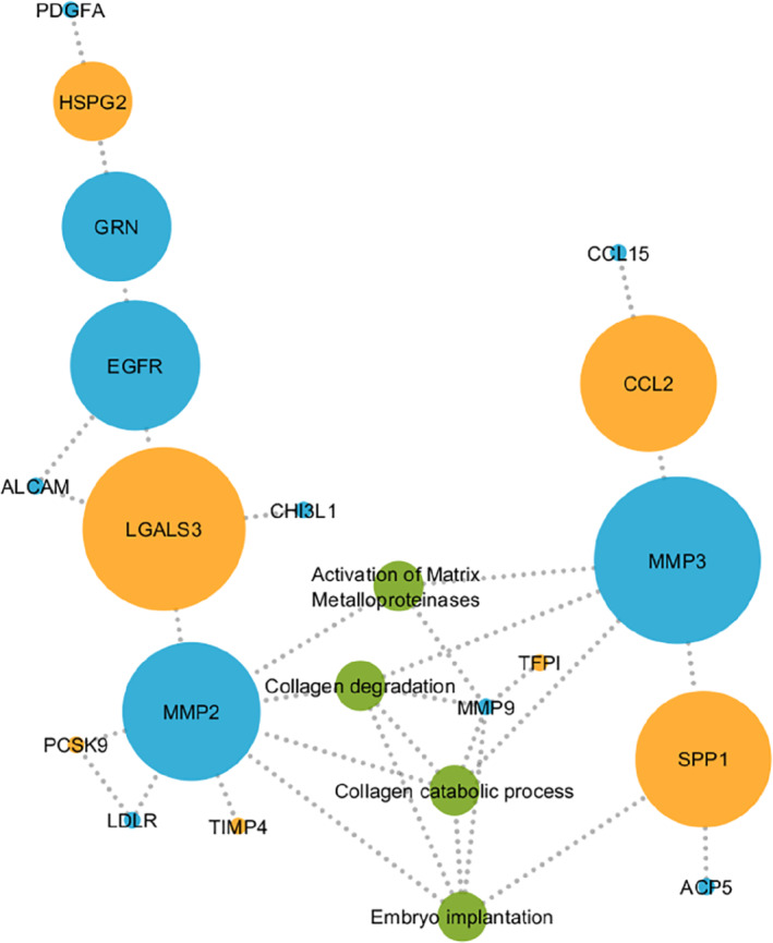 EJHF-1758-FIG-0002-c