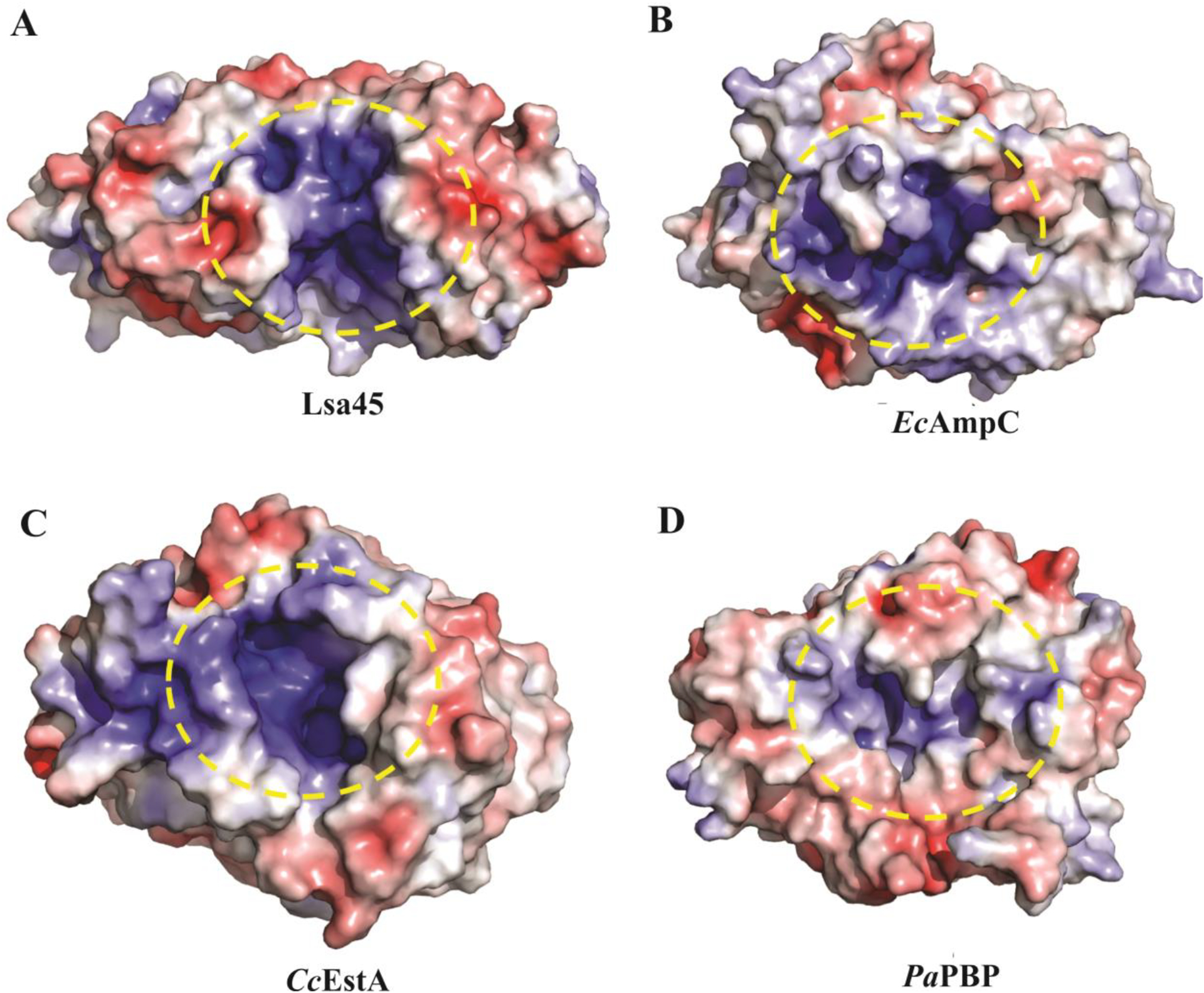 Figure 2.