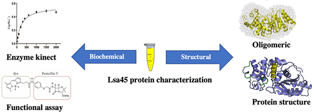 graphic file with name nihms-1860554-f0001.jpg