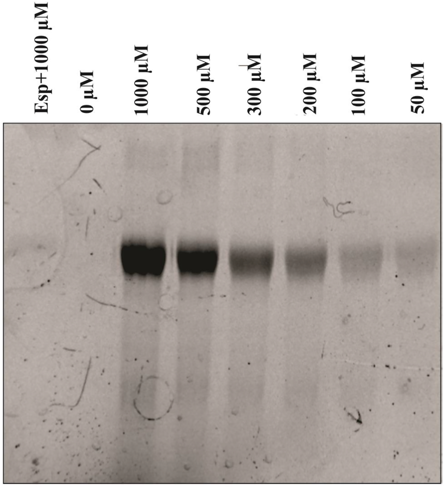 Figure 9.