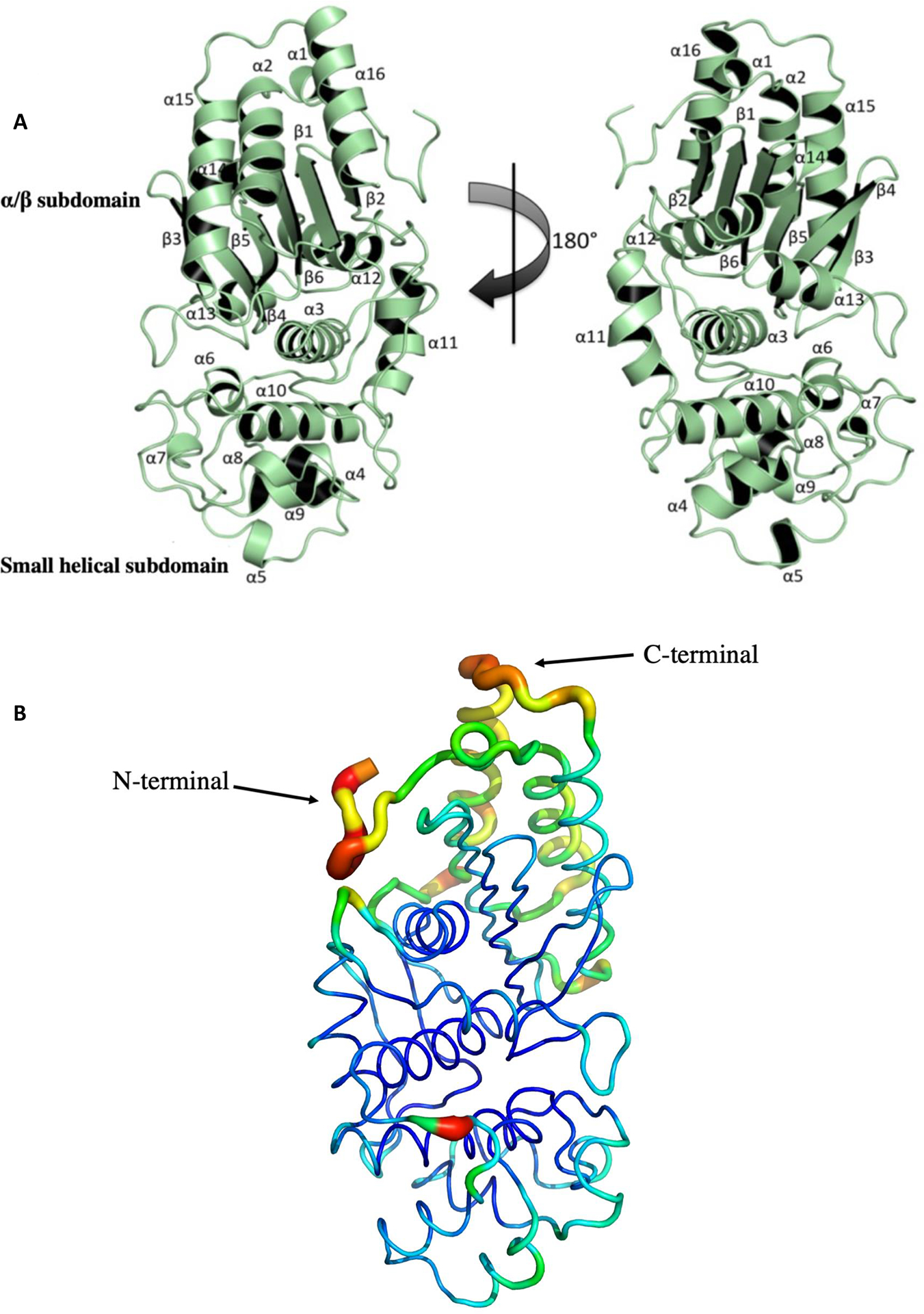 Figure 1.