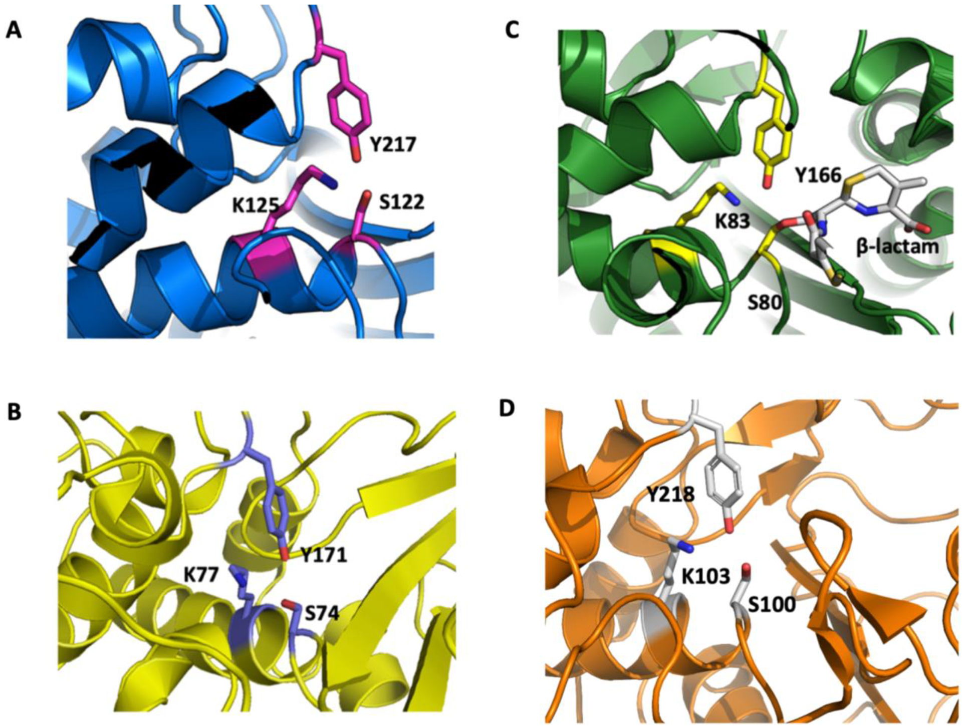 Figure 4.