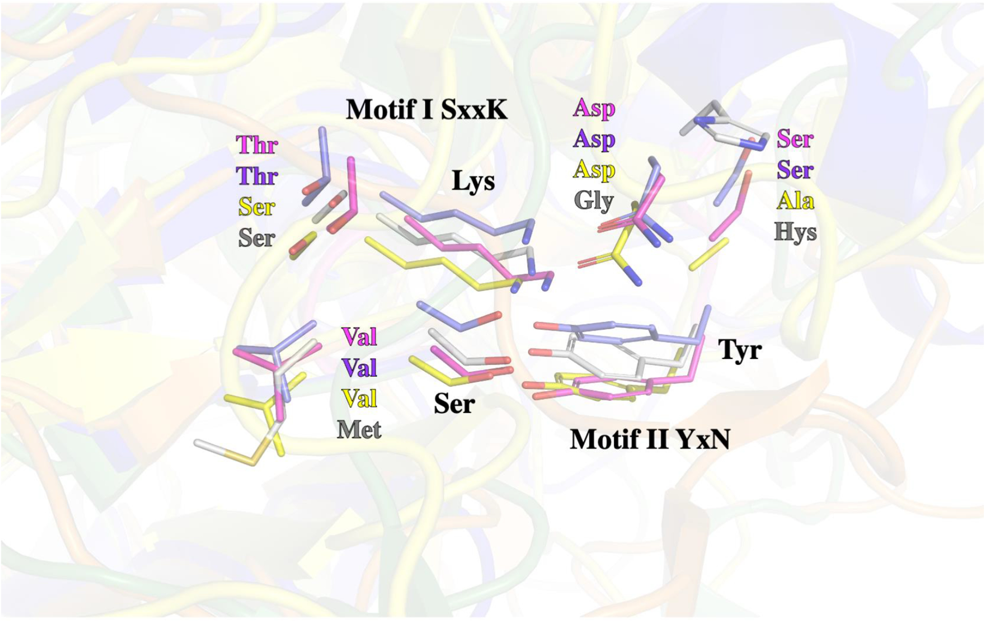 Figure 5.