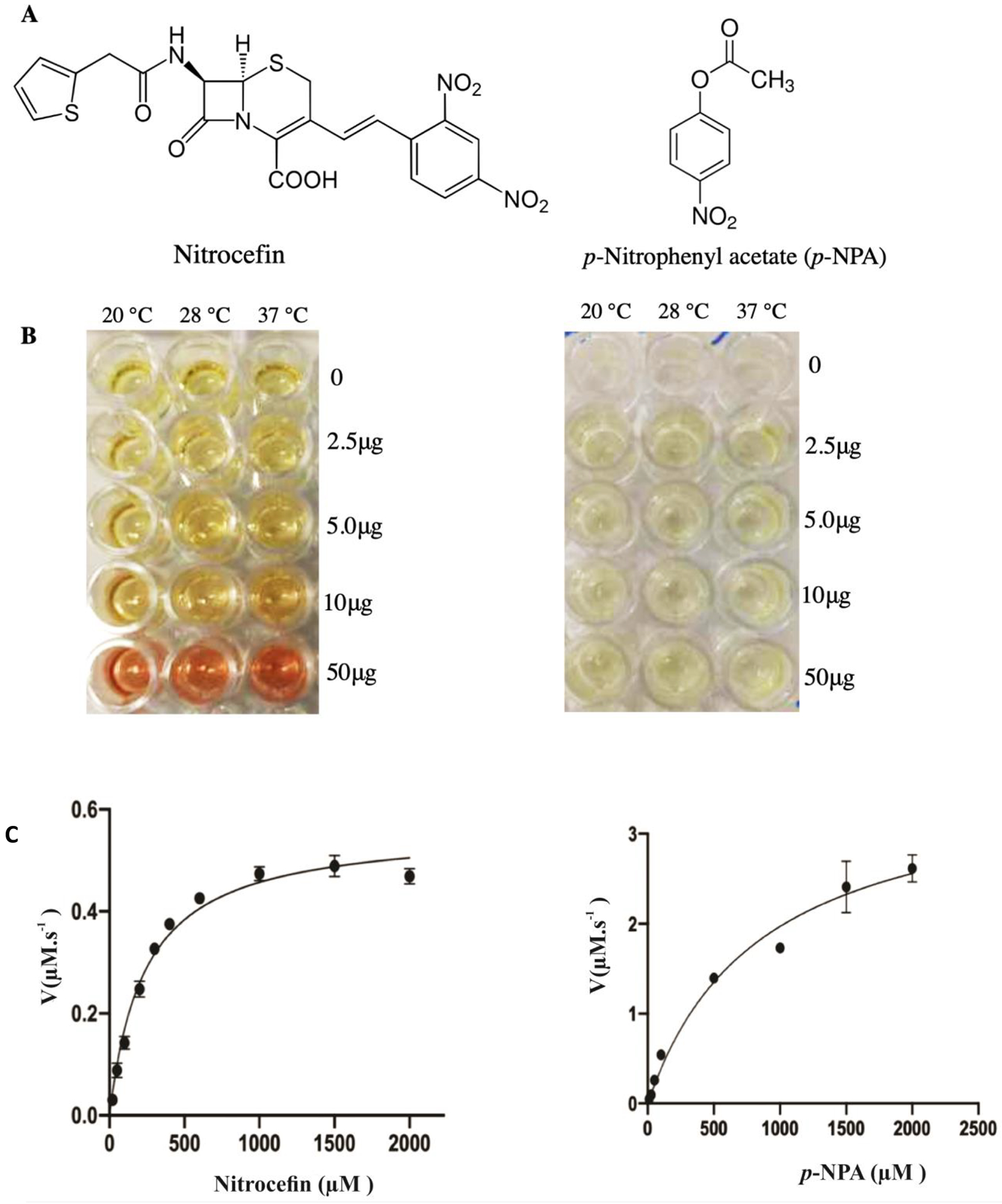 Figure 10.