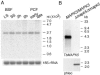 FIG. 2.