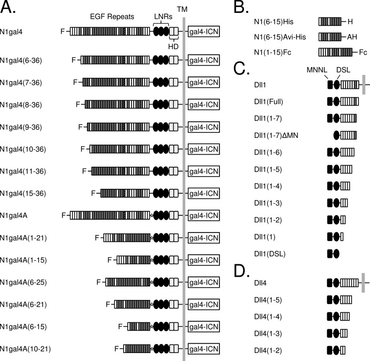 FIGURE 1.