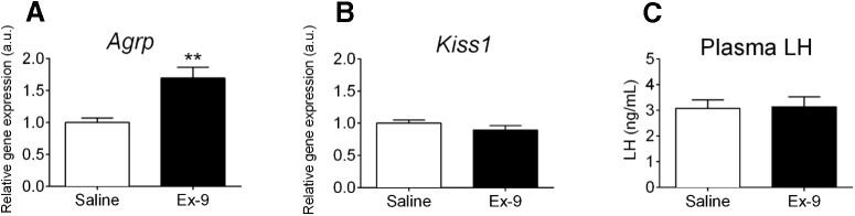 Figure 5.