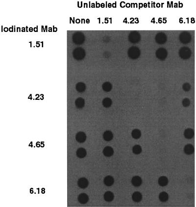 FIG. 2.