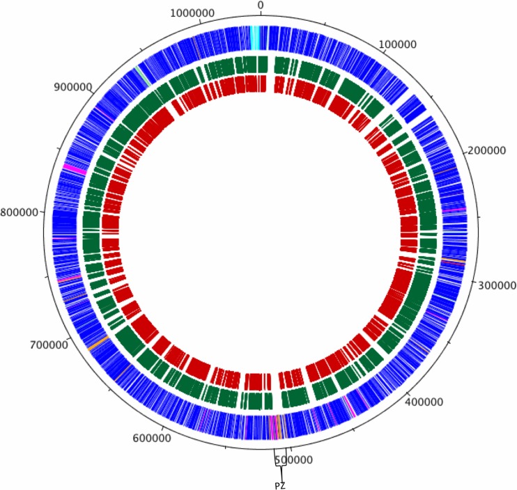 Fig 2