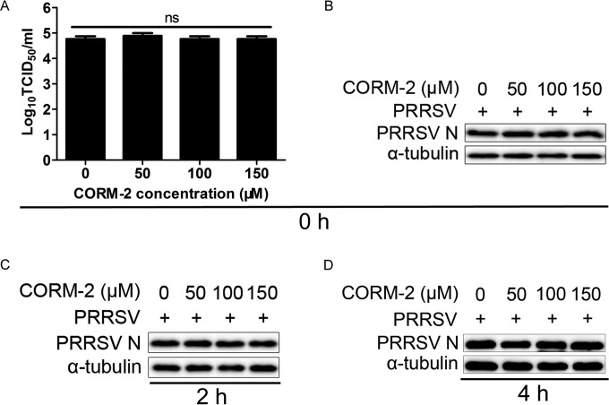 FIG 6