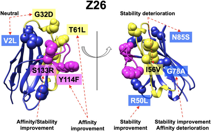 Figure 5