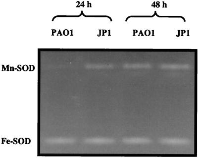 FIG. 5