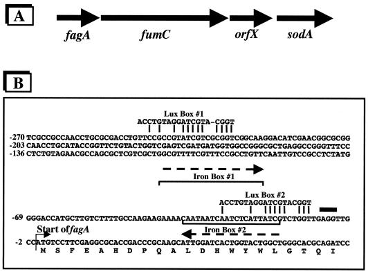 FIG. 6