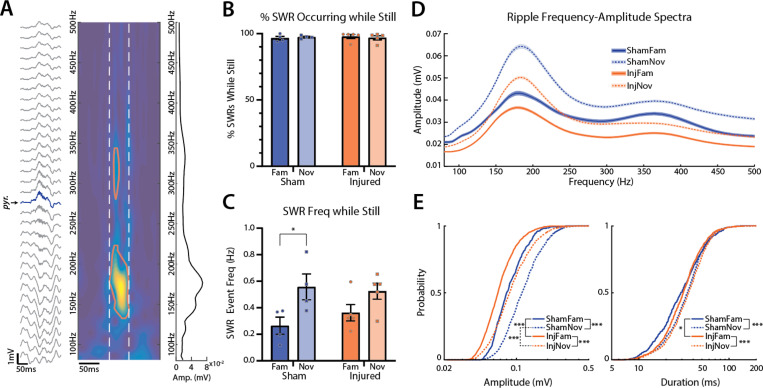 Figure 6: