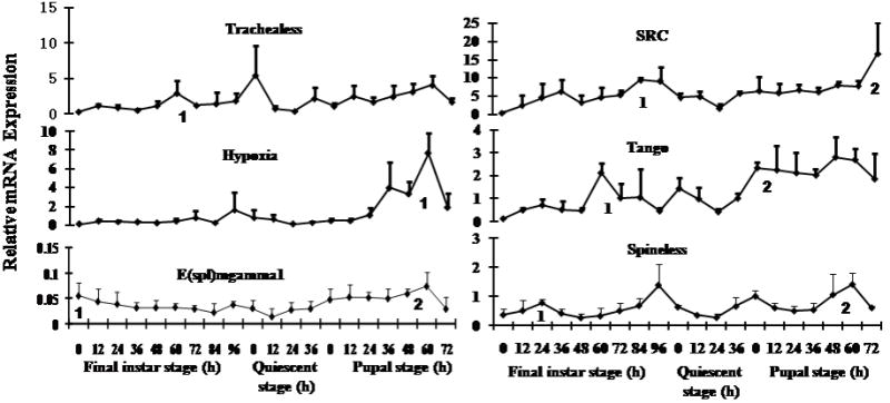 Fig. 5