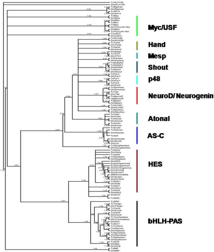 Fig.1