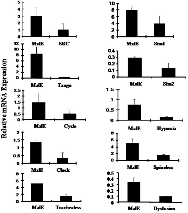 Fig.2