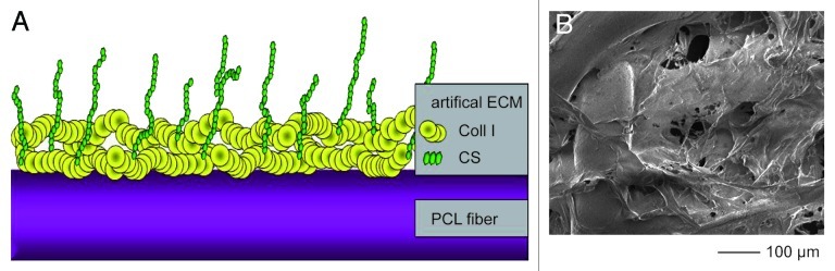 graphic file with name biom-2-158-g4.jpg