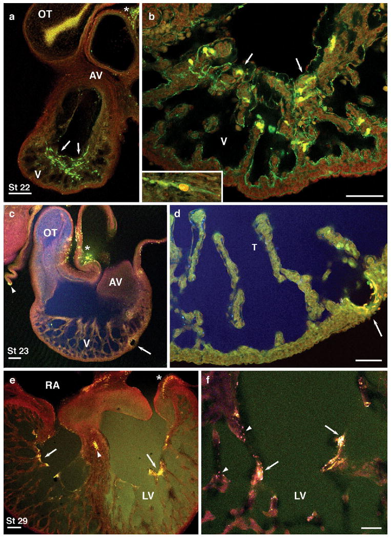 Fig. 8