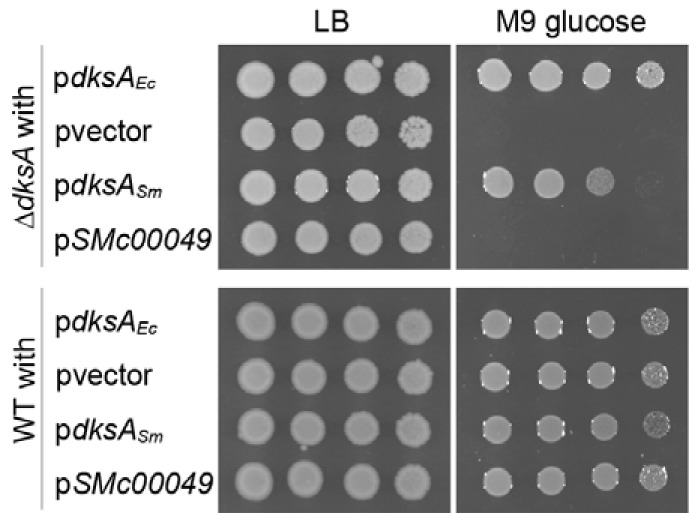 FIG 2