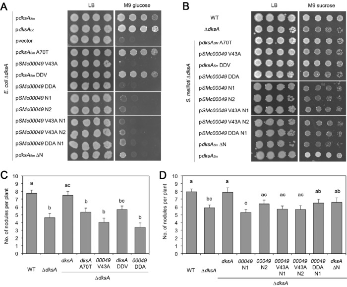 FIG 6