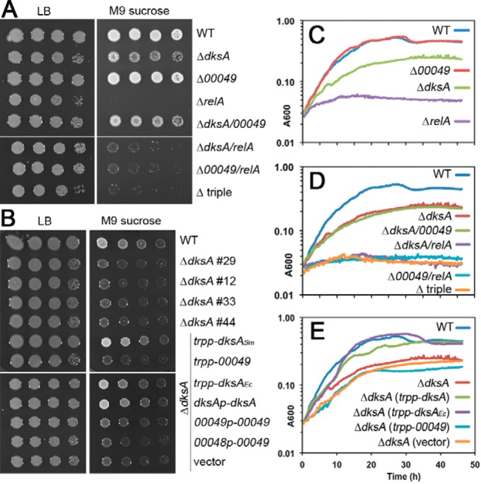 FIG 3