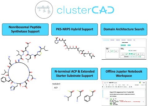 Graphical Abstract