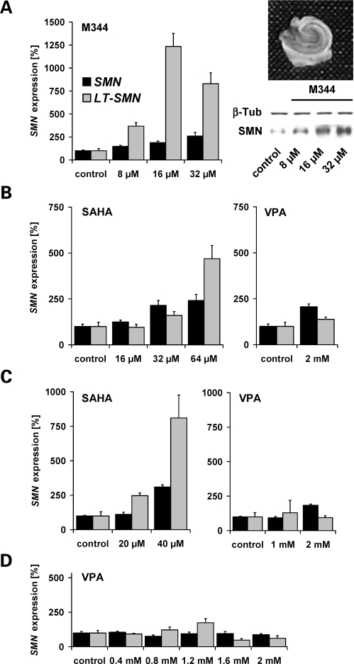 Figure 6.